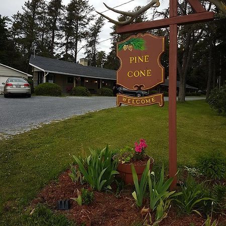Pinecone Motel Sussex Eksteriør billede