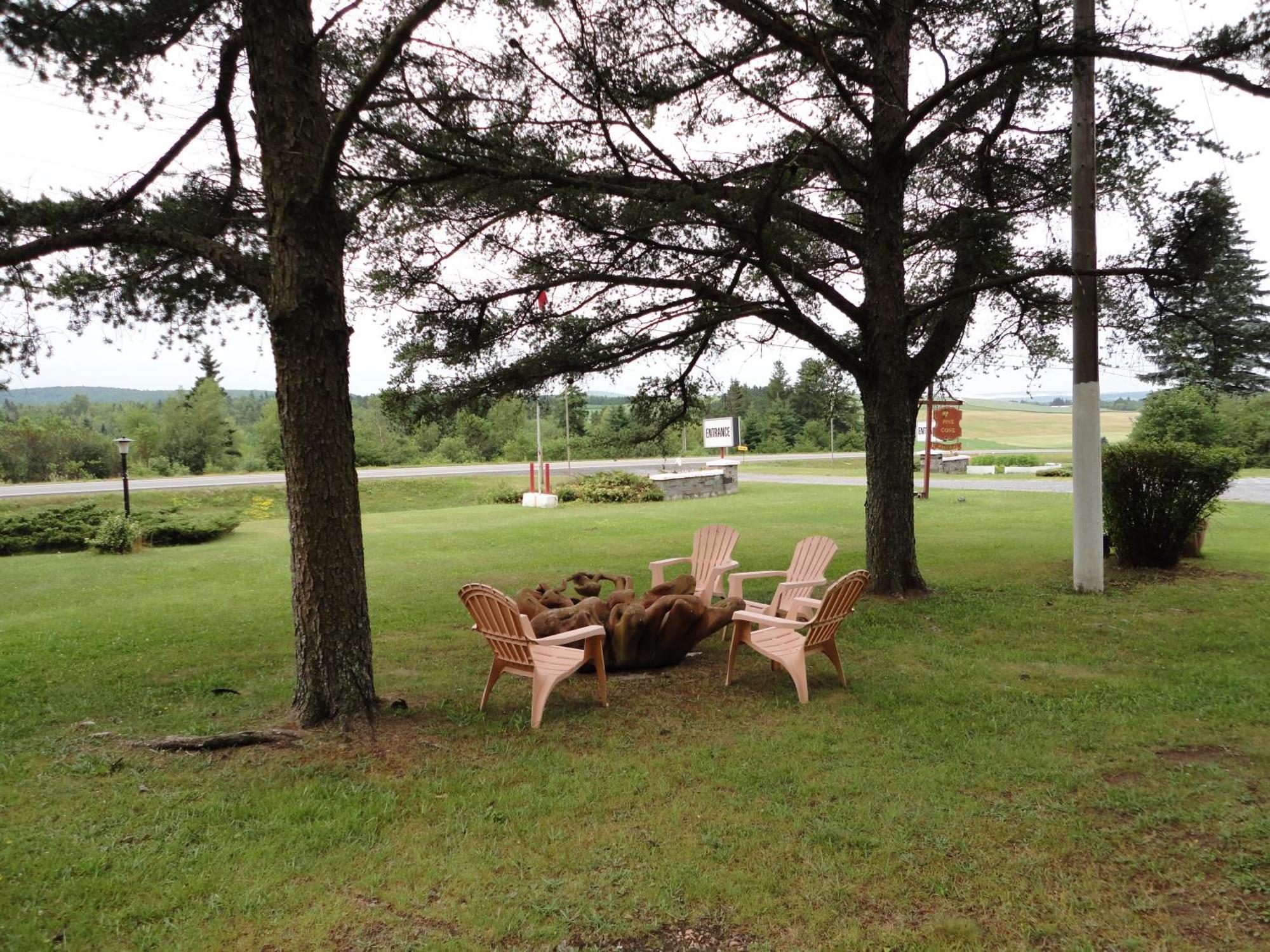 Pinecone Motel Sussex Eksteriør billede