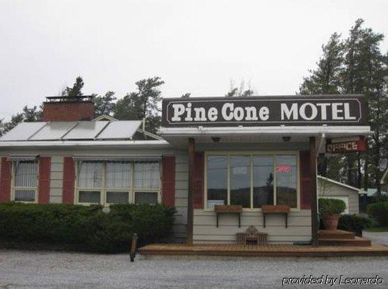 Pinecone Motel Sussex Eksteriør billede