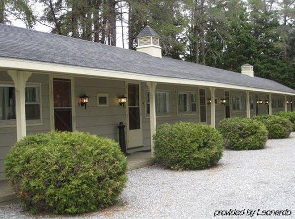 Pinecone Motel Sussex Eksteriør billede