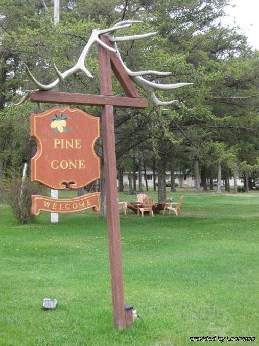 Pinecone Motel Sussex Eksteriør billede