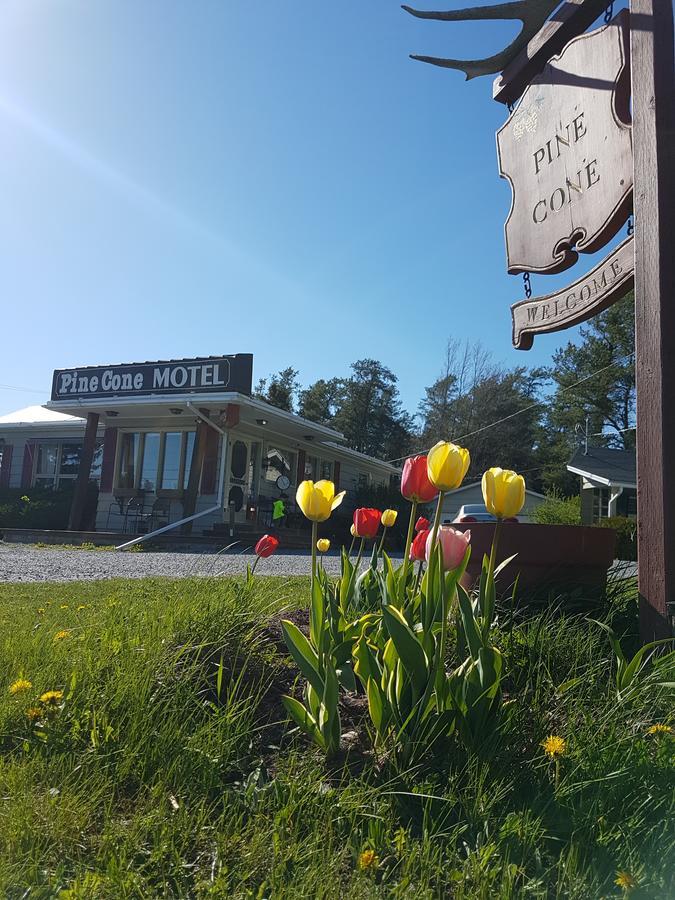 Pinecone Motel Sussex Eksteriør billede