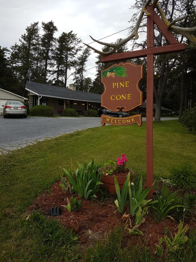 Pinecone Motel Sussex Eksteriør billede