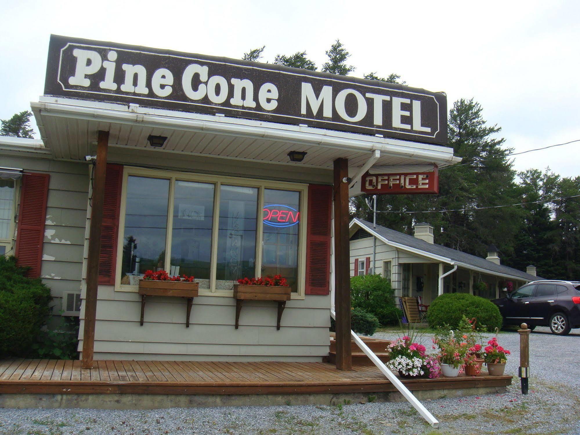 Pinecone Motel Sussex Eksteriør billede
