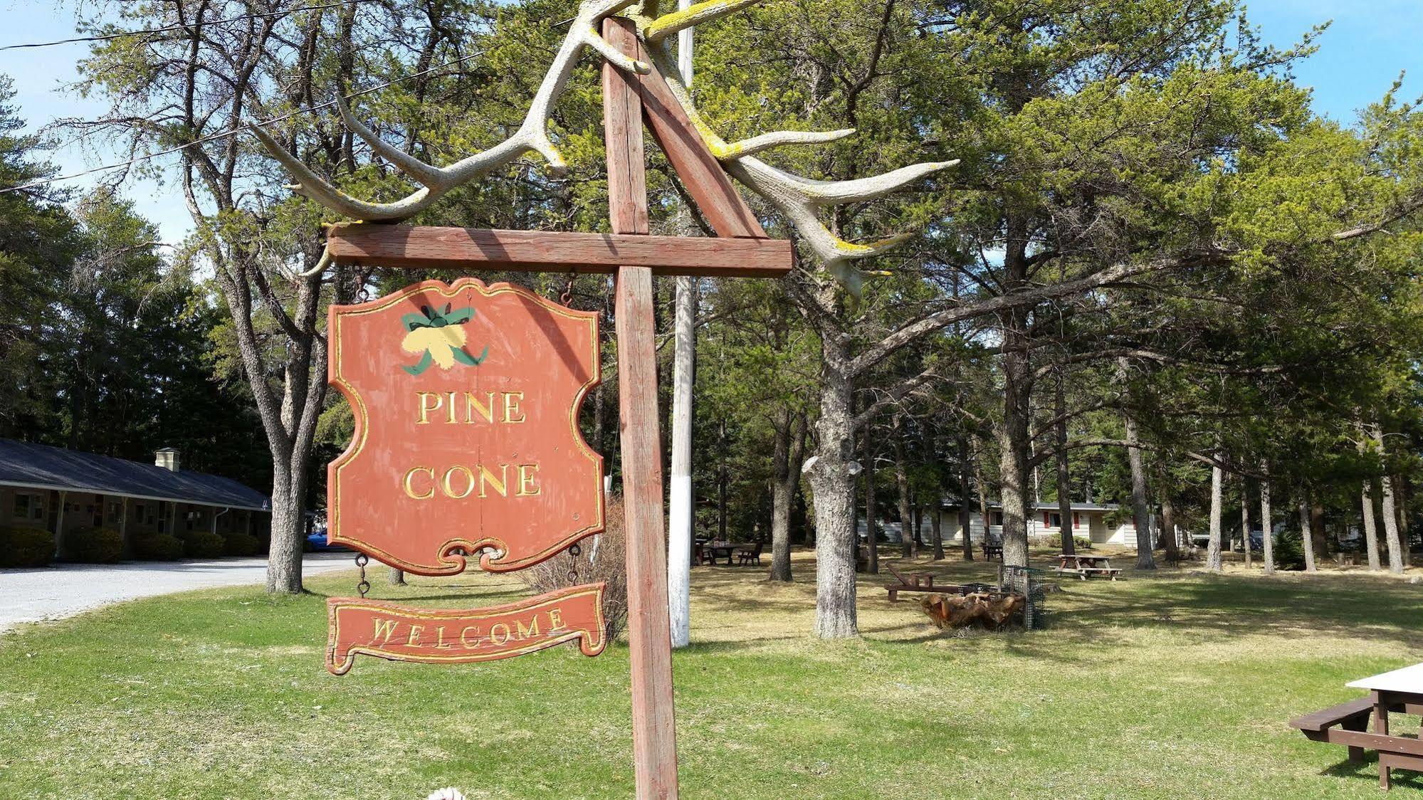 Pinecone Motel Sussex Eksteriør billede