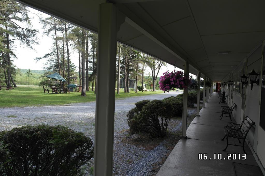 Pinecone Motel Sussex Eksteriør billede