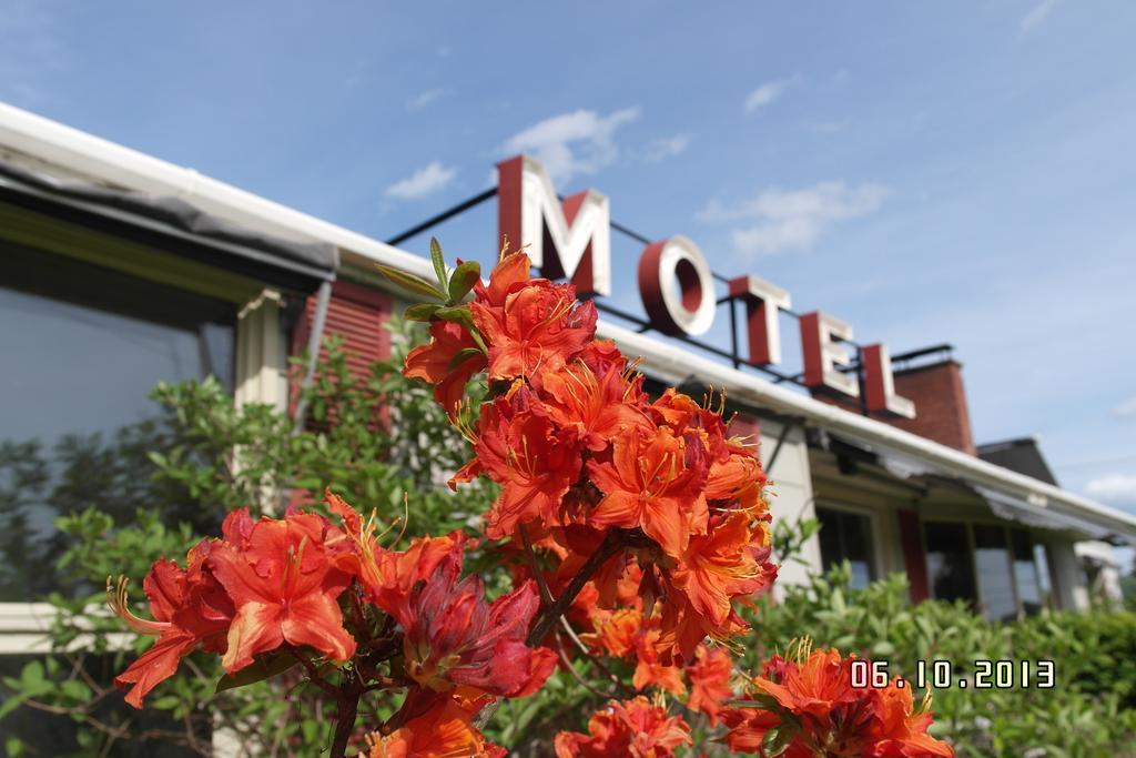 Pinecone Motel Sussex Eksteriør billede